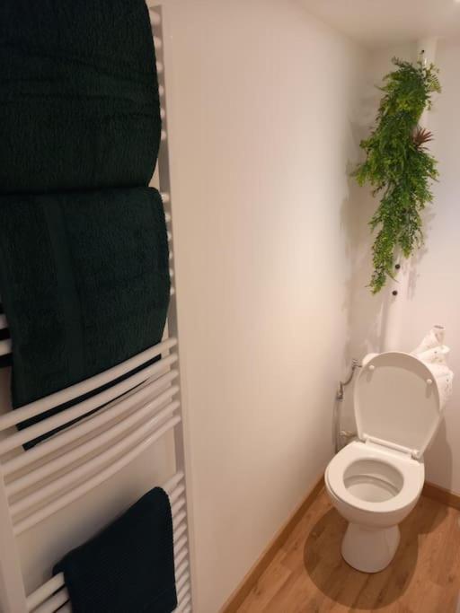 Le Charmant Accueil Viennois/T2/Wifi/Cosy/Parking Puvatya Dış mekan fotoğraf